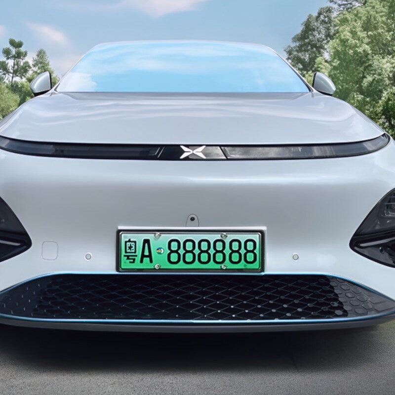 XPENG G6 Snap On grill Mesh