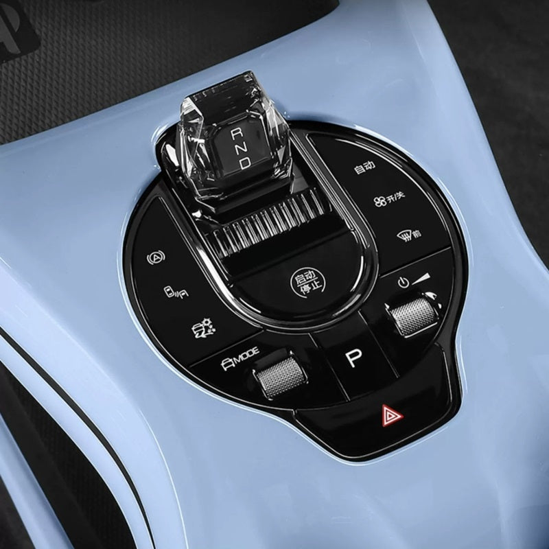 ABS Center Console Wrap for BYD Seal