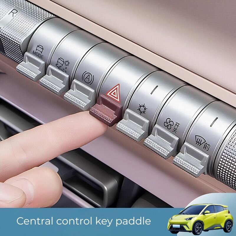 Central Control Button Paddles for BYD