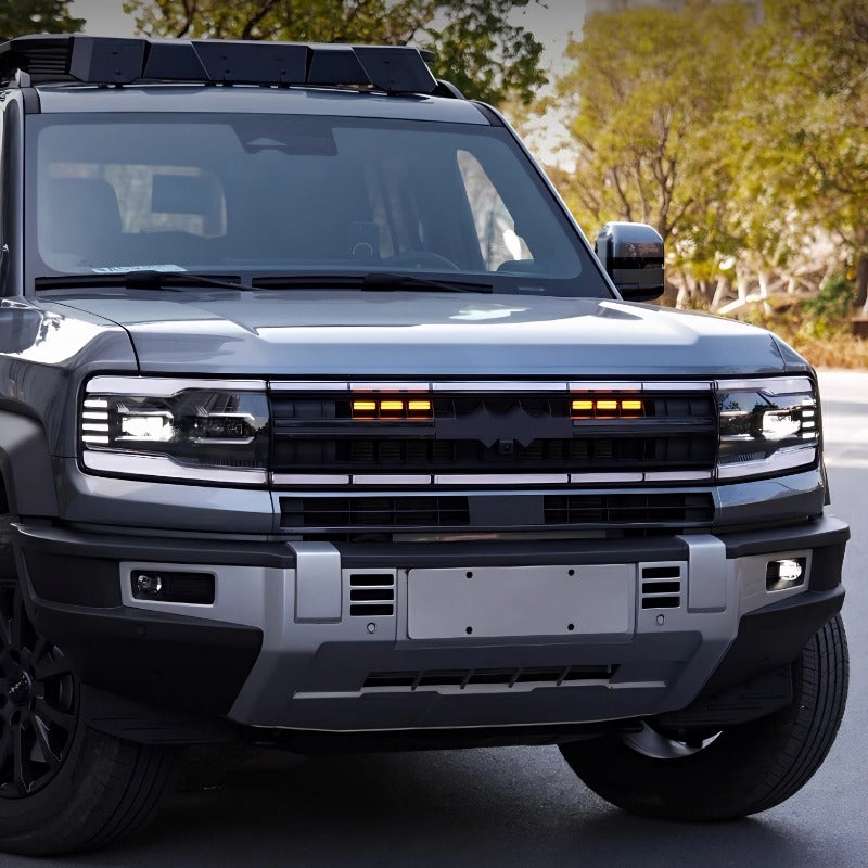 Grille Light for Fangchengbao Bao 5/Denza B5