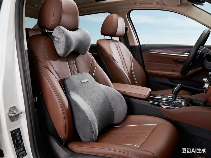 Back Support Cushion