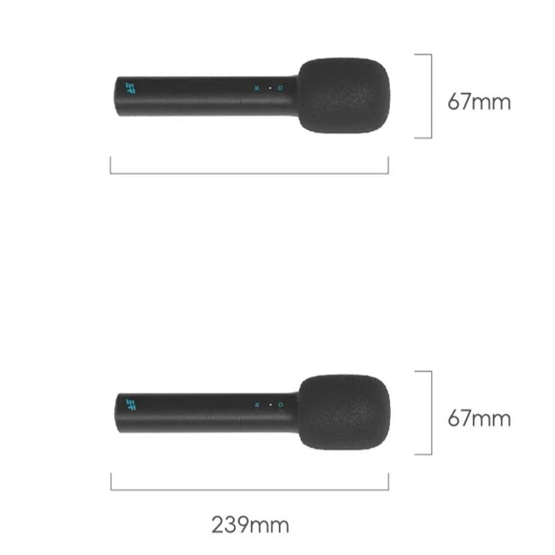 Chery Jetour T2 Car Karaoke Microphone£¨2 Pc