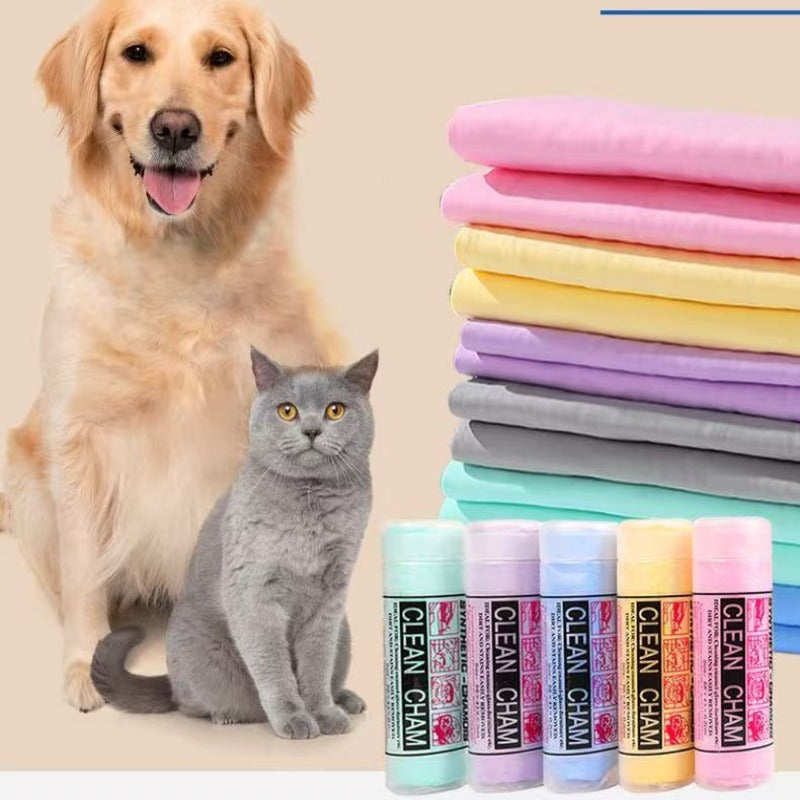 Car wash sponges, squeegees, and towels