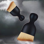 Spazzola antipolvere per interni auto