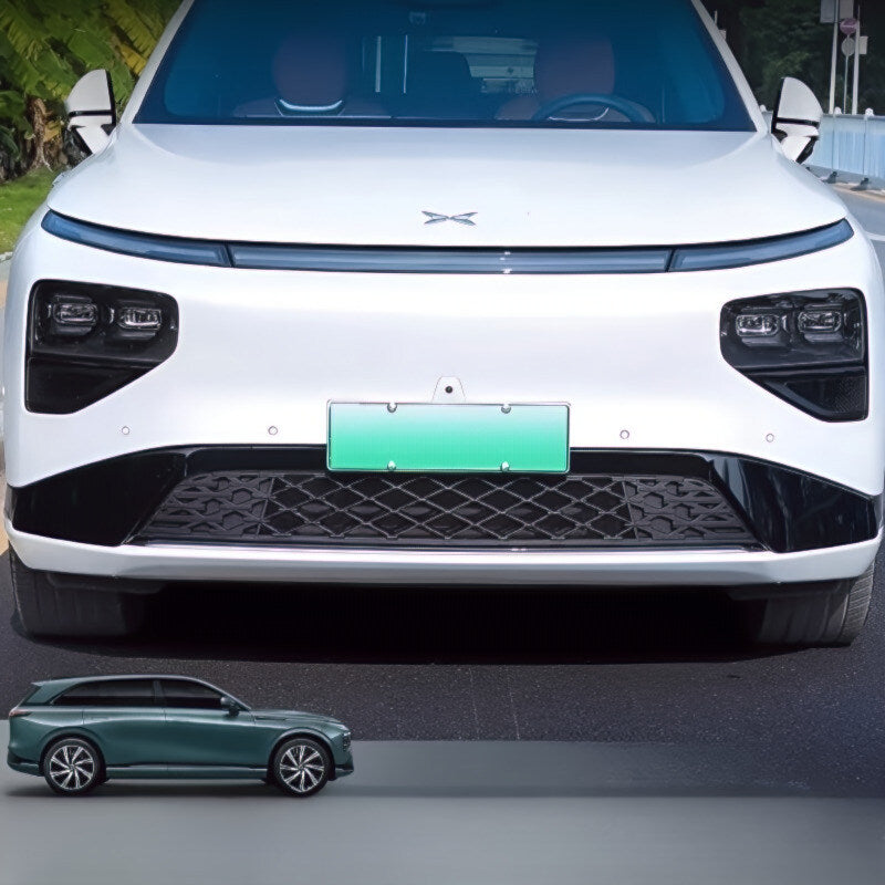 G9 P7 Front Lower Bumper Insect Proof Net