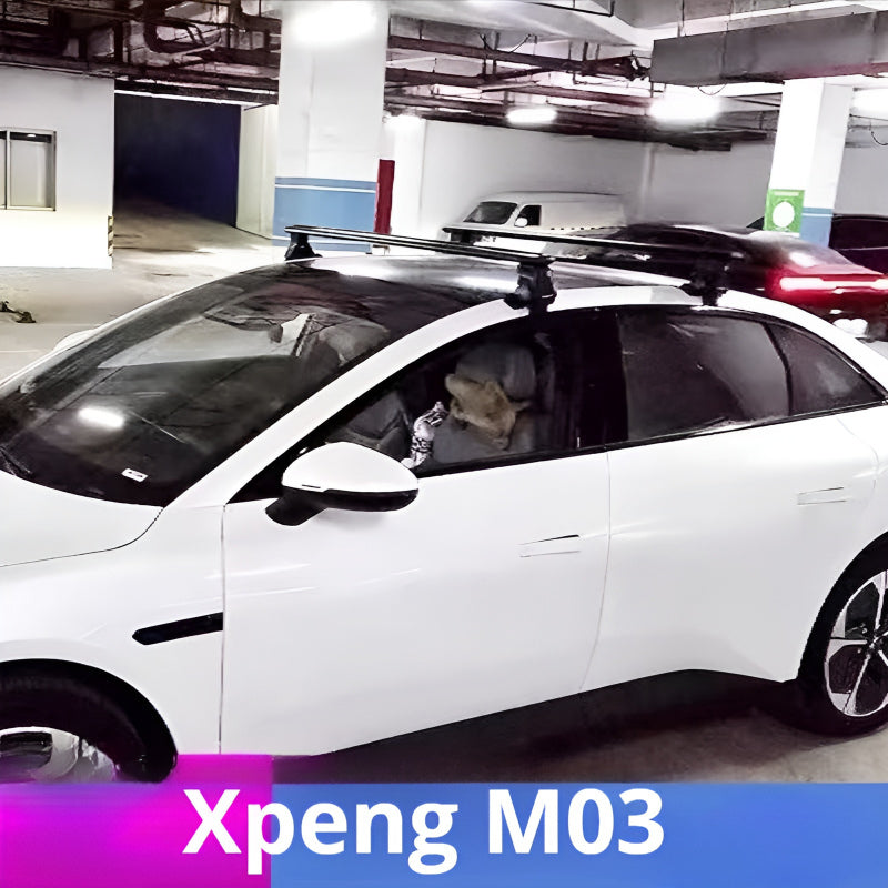 Xpeng M03 Car Top Luggage Rack Crossbar (Two Sticks)