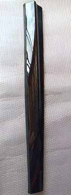 Xpeng P7+ Door Scratch Strip