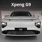 Xpeng G9 Front Lower Bumper Insect Proof Net