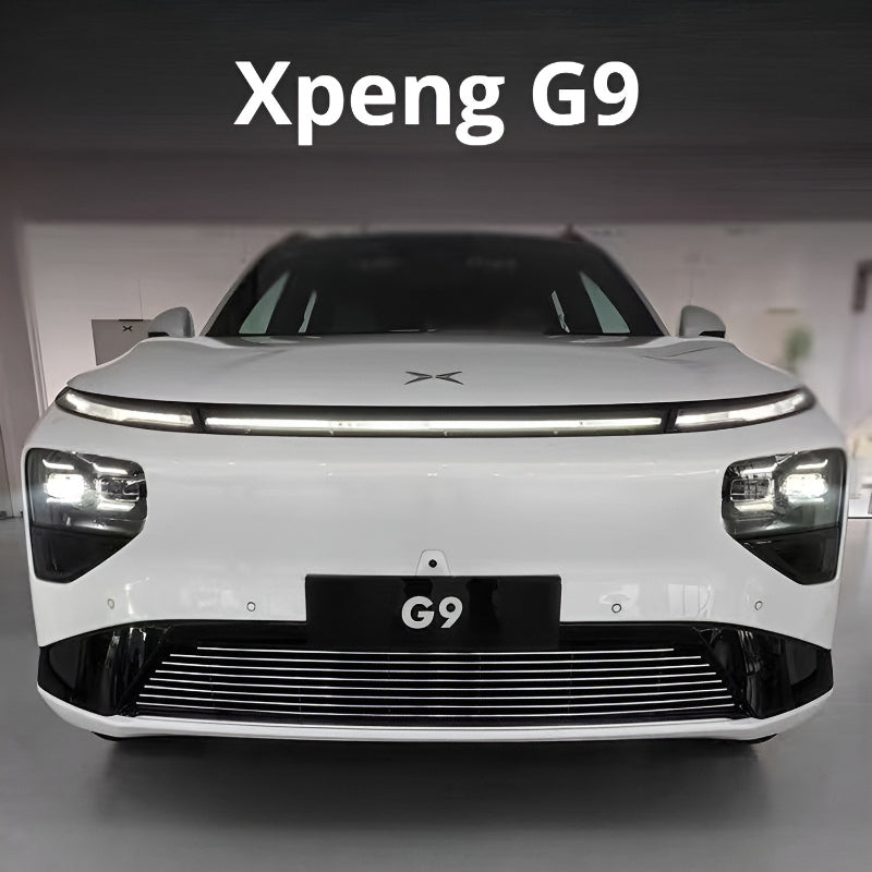 Xpeng G9 Front Lower Bumper Insect Proof Net