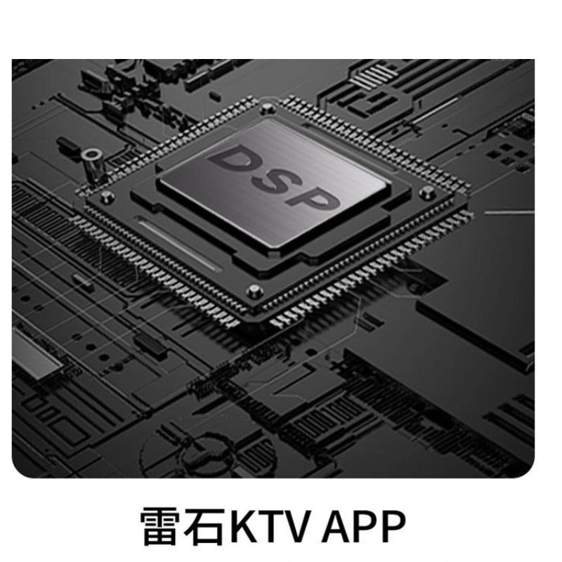 Chery Jetour T2 Car Karaoke Microphone£¨2 Pc