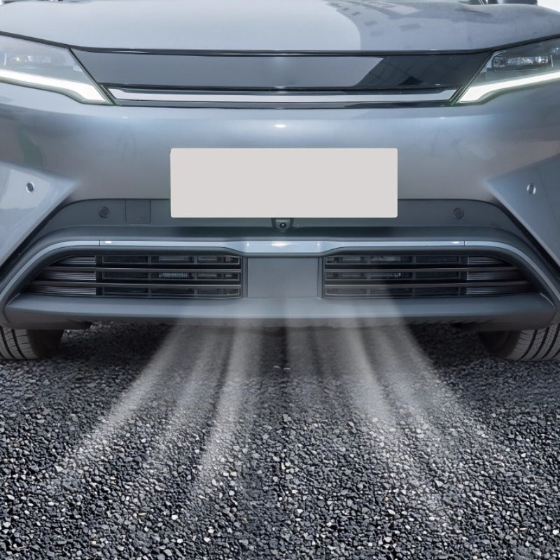 BYD Atto 2 Grille Proof Net