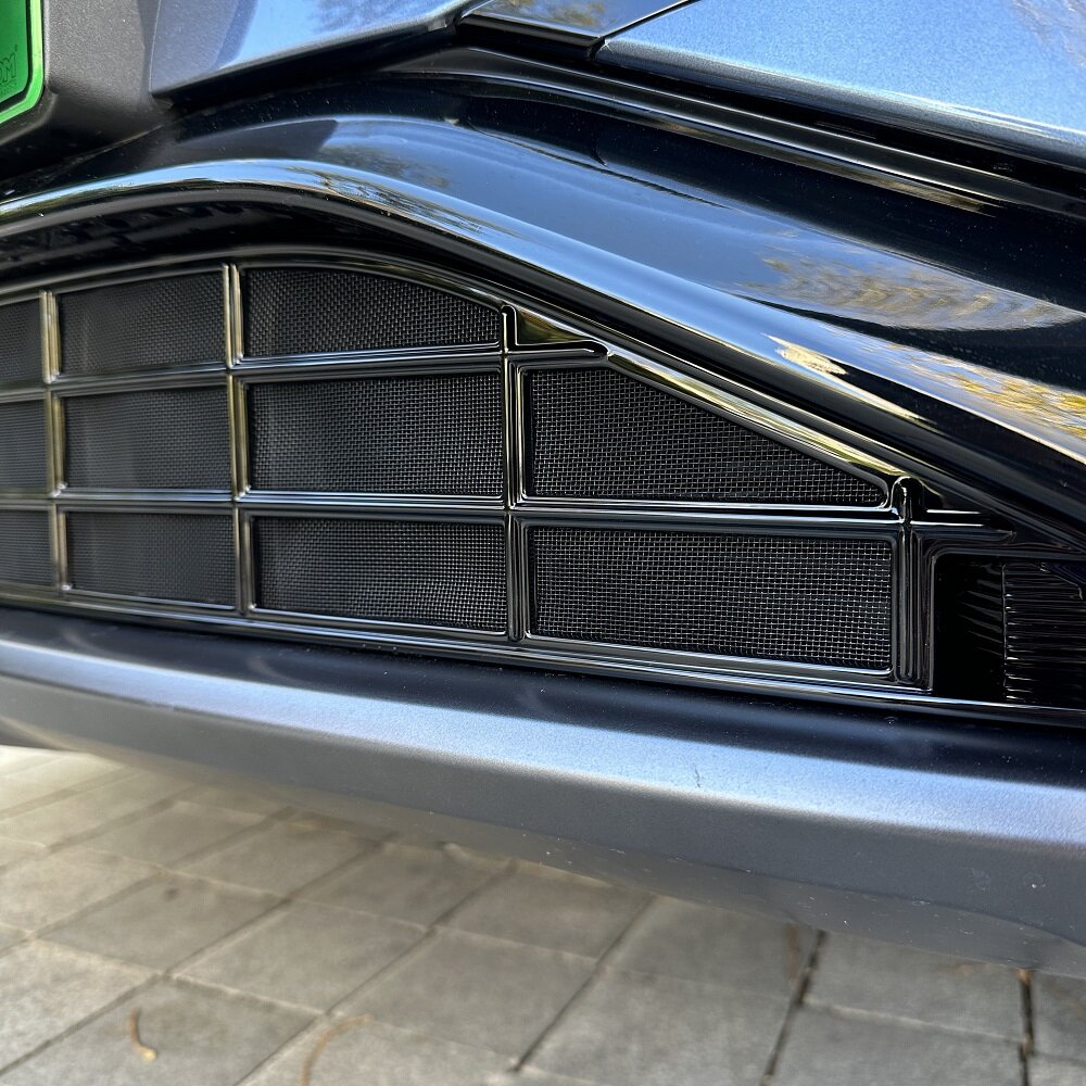 BYD Sealion 7 Grille Proof Net