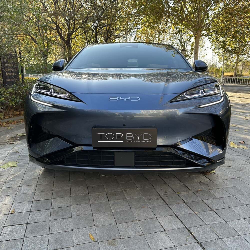 BYD Sealion 7 Grille Proof Net