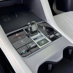 Controllo centrale PPF per BYD