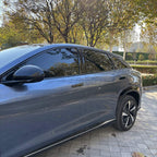 Copertura maniglia porta per BYD Sealion 7