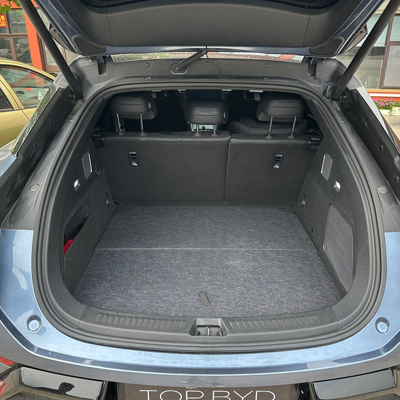 Trunk Folding Cover Plate for Sealion 7