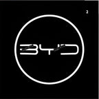 Puddle Lights for BYD