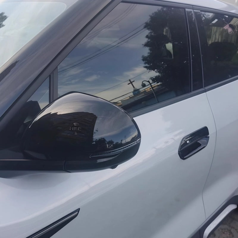 Side Mirror Cover for BYD Atto 2