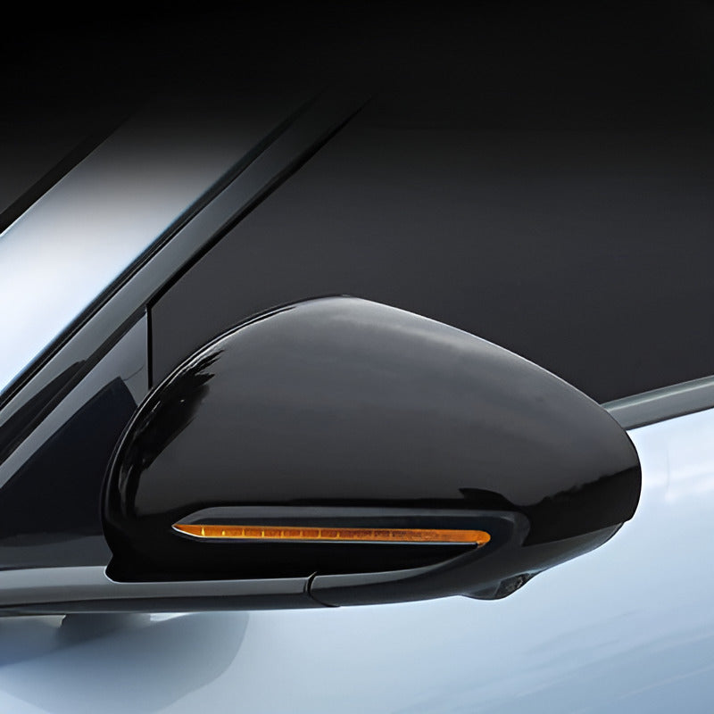 Side Mirror Cover for BYD Seal